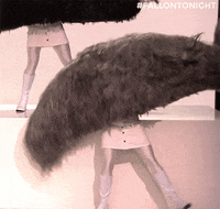 nbc dancing GIF by The Tonight Show Starring Jimmy Fallon