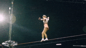 Circus Balance GIF by Ringling Bros. and Barnum & Bailey