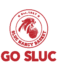 Sport Basket Sticker by SLUCNancyBasket