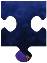Puzzle Sticker by My Little Pony