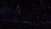 fox tv GIF by Ghosted