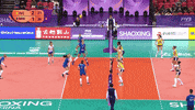 Power Smile GIF by Volleyball World