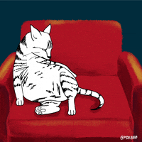 cat lol GIF by Animation Domination High-Def