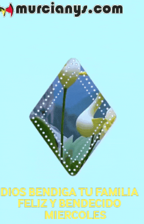 Amigos Flores GIF by Murcianys LLC