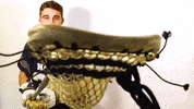 Navy Mens Lacrosse GIF by Navy Athletics