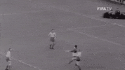 World Cup Football GIF by FIFA