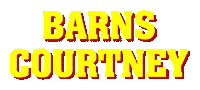 Rock N Roll Hair Sticker by Barns Courtney