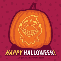 Happy River Hawks GIF by Susquehanna University