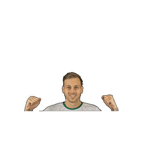 Sport Heerlen Sticker by Groene ster