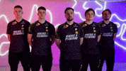 Team Nip GIF by BLAST