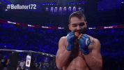 GIF by Bellator
