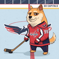 Ice Hockey Dog GIF by Doge Pound