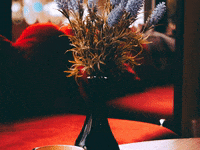 You Can Wow GIF by FranchiseONE.de