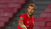 Sl Benfica Slbgif GIF by Sport Lisboa e Benfica