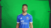 Celebration Quakes GIF by San Jose Earthquakes