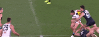 George GIF by Carlton Football Club