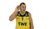 Ewe Baskets Basketball Sticker by EWE Baskets Oldenburg