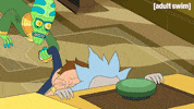 Season 2 Episode 6 GIF by Rick and Morty