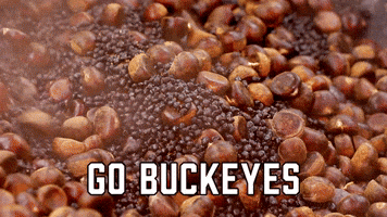 GO BUCKEYES