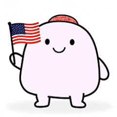 United States Usa GIF by Bereishis Foundation