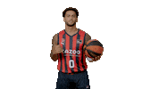 Liga Endesa Spinning Sticker by ACB