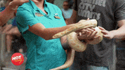 GIF by CMT Hot 20 Countdown