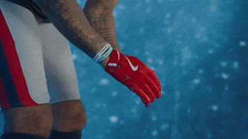 Football Nfl GIF by New England Patriots