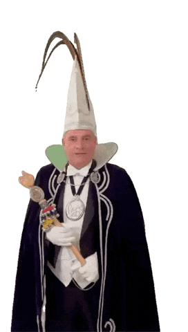 Vastelaovend GIF by Jocus