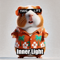 Self-Discovery Wisdom GIF by Guinea Gambino