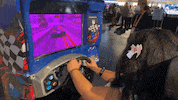 Driving Arcade Games GIF