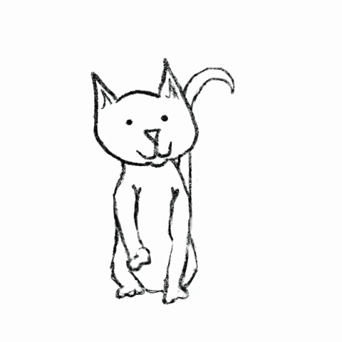 Kitten Laughing GIF