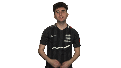 Eintracht Frankfurt Fifa Sticker by Bundesliga