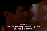 Season 2 Episode 22 GIF by Twin Peaks on Showtime