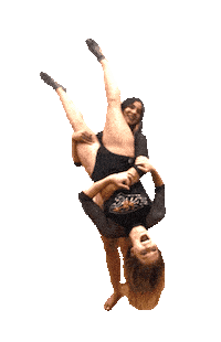 Ava Harper Sticker by TowsonGymnastics