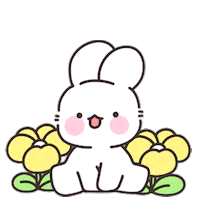 junjeongyeon 하트 토끼 핑크 애교 Sticker