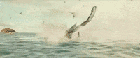 sony home ent GIF by The Shallows