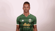 portland timbers applause GIF by Timbers
