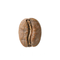 נספרסו Sticker by Nespresso