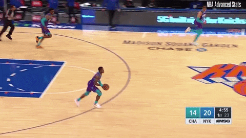 losilla giphyupload knicks GIF