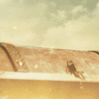 Brucia GIF by Ourofino Agrociência