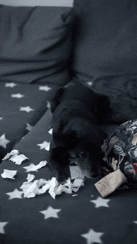 Destroy Toilet Paper GIF