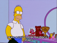 homer simpson memories GIF