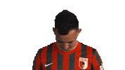 Happy Fc Augsburg Sticker by Bundesliga