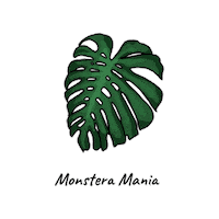 Monstera Deliciosa Urbanjungle Sticker by Monstera Mania