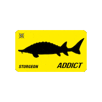 Fxp Sticker by jipe_fishxplorer