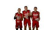 Liga Endesa Basketball Sticker by ACB