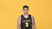 Division Ii Sport GIF by Cal State LA Golden Eagles