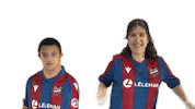 Levante Ud Futbol Sticker by Fundación Levante UD