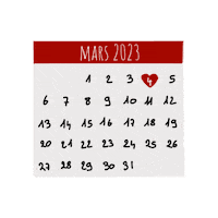 Calendar Calendrier Sticker