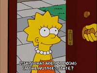Lisa Simpson GIF by The Simpsons